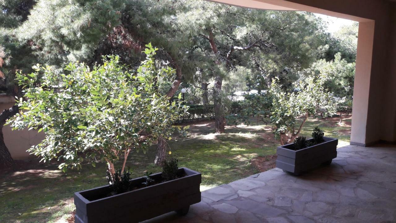 Apartment Amazing Athens